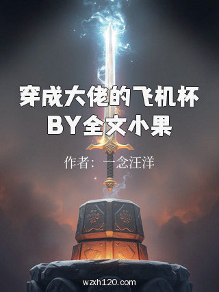 穿成大佬的飞机杯BY全文小果