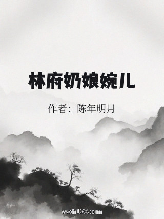 林府奶娘婉儿
