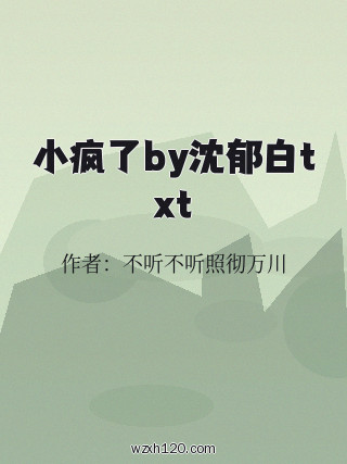 小疯了by沈郁白txt