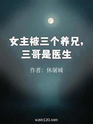 女主被三个养兄,三哥是医生