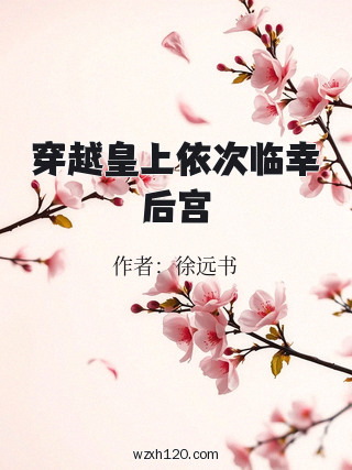 穿越皇上依次临幸后宫