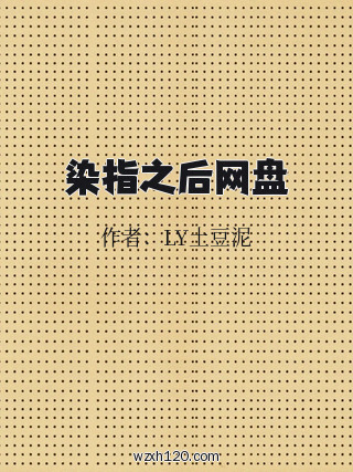 染指之后网盘