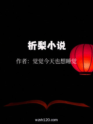 折梨小说