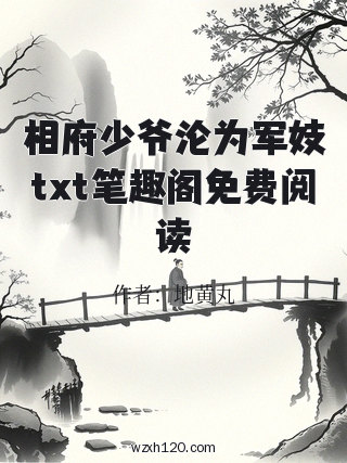 相府少爷沦为军妓txt笔趣阁免费阅读