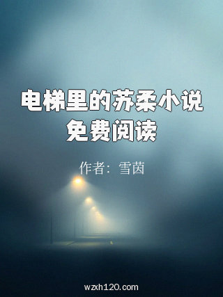 电梯里的苏柔小说免费阅读