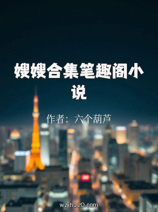 嫂嫂合集笔趣阁小说