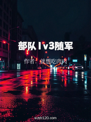 部队1v3随军