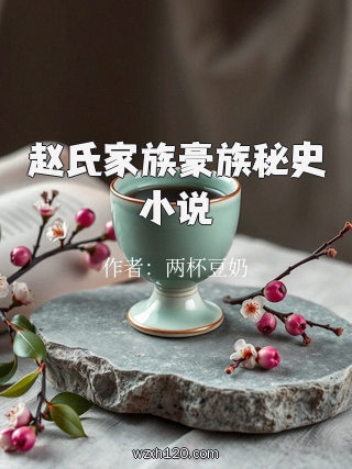赵氏家族豪族秘史小说