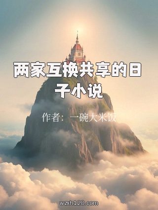 两家互换共享的日子小说