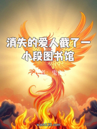 消失的爱人截了一小段图书馆