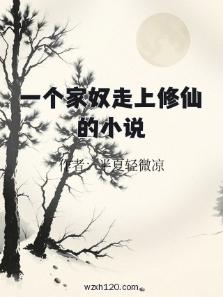 一个家奴走上修仙的小说