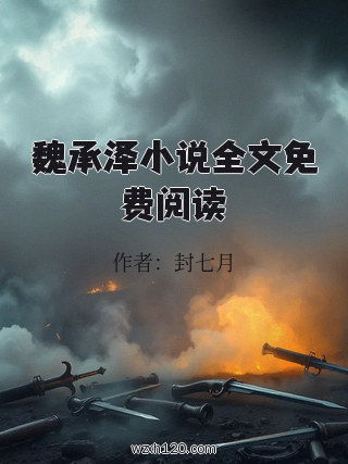 魏承泽小说全文免费阅读