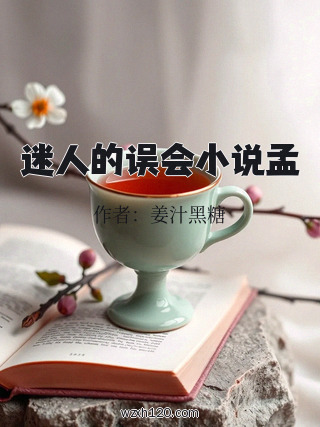 迷人的误会小说孟