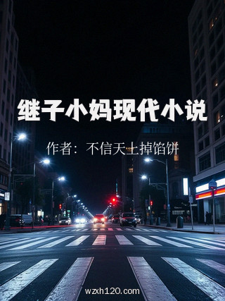 继子小妈现代小说