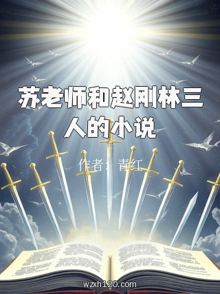 苏老师和赵刚林三人的小说
