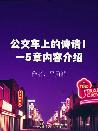 公交车上的诗请1一5章内容介绍
