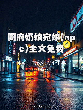 周府奶娘宛娘(npc)全文免费