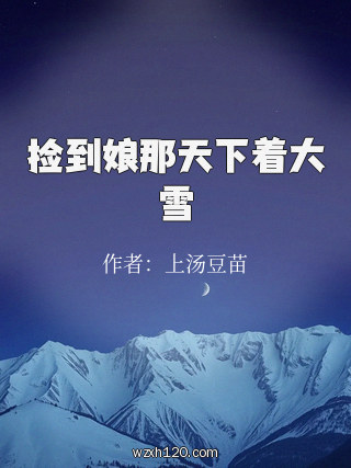 捡到娘那天下着大雪