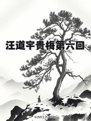 汪道宇贵梅第六回