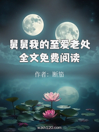 舅舅我的至爱老处全文免费阅读