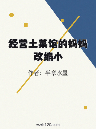 经营土菜馆的妈妈改编小