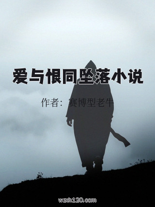 爱与恨同坠落小说