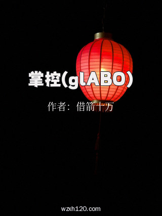 掌控(glABO)