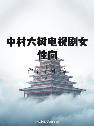 中村大树电视剧女性向