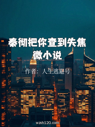 秦彻把你查到失焦微小说