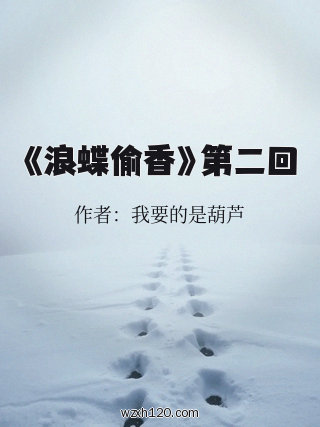 《浪蝶偷香》第二回