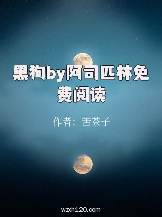 黑狗by阿司匹林免费阅读
