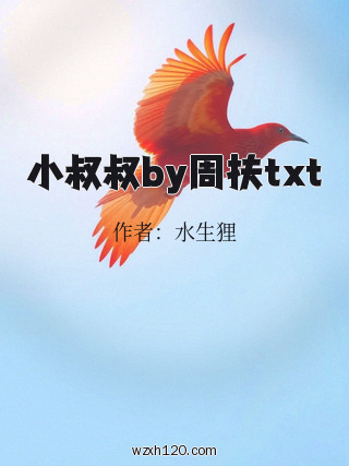 小叔叔by周扶txt