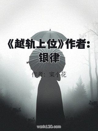 《越轨上位》作者:银律