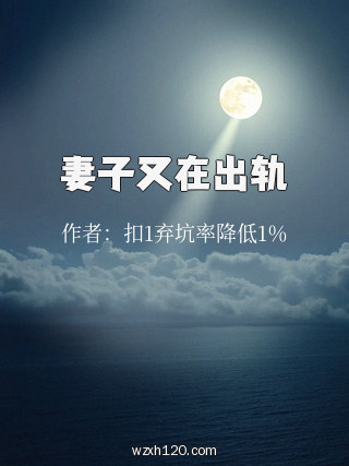 妻子又在出轨