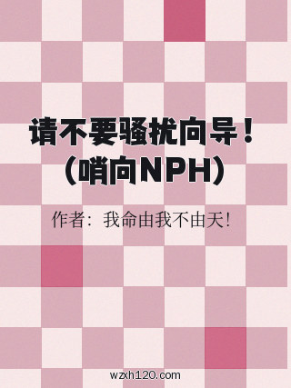 请不要骚扰向导!(哨向NPH)