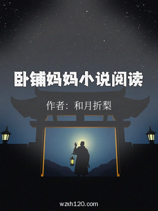 卧铺妈妈小说阅读