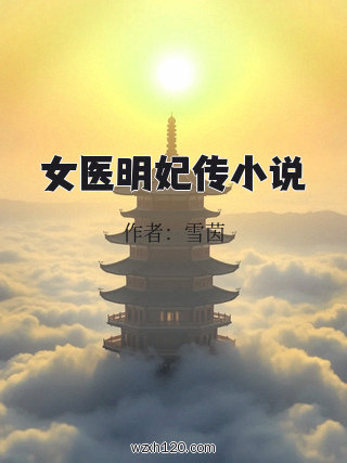 女医明妃传小说