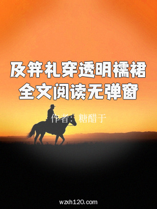 及笄礼穿透明襦裙全文阅读无弹窗