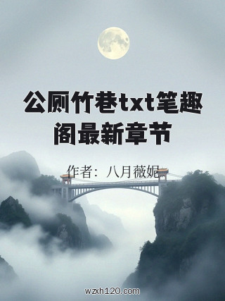 公厕竹巷txt笔趣阁最新章节