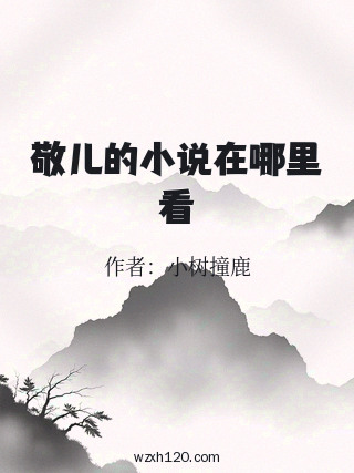 敬儿的小说在哪里看