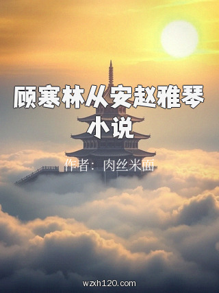 顾寒林从安赵雅琴小说