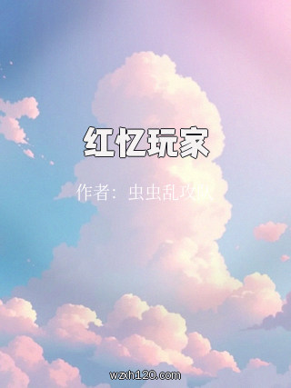 红忆玩家