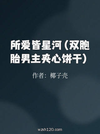 所爱皆星河(双胞胎男主夹心饼干)