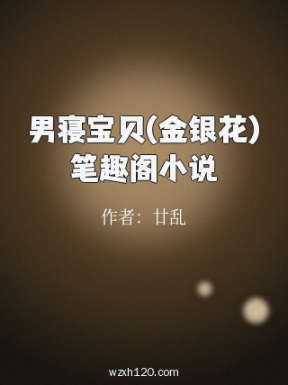 男寝宝贝(金银花)笔趣阁小说
