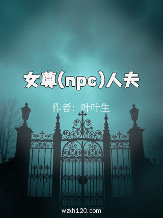 女尊(npc)人夫