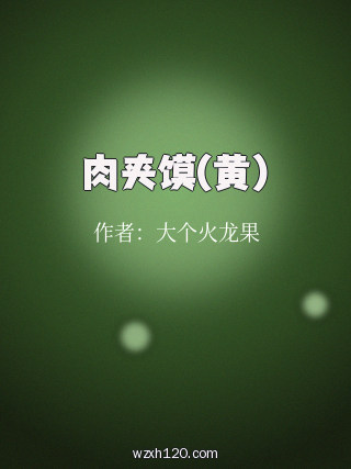 肉夹馍(黄)