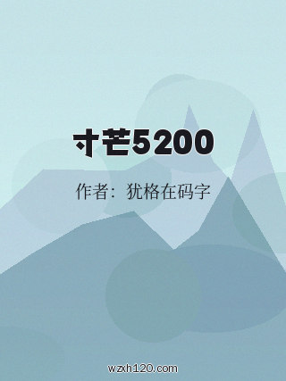 寸芒5200