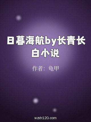 日暮海航by长青长白小说