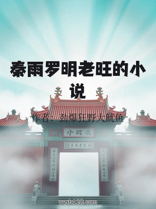 秦雨罗明老旺的小说