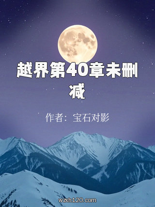 越界第40章未删减